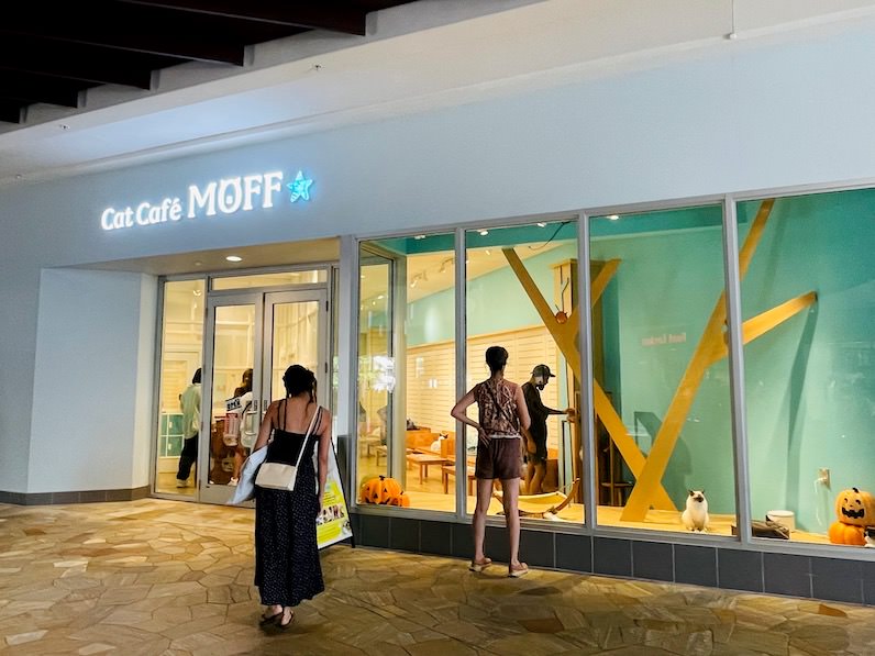 インターナショナル・マーケットプレイスの「Cat Café MOFF」外観