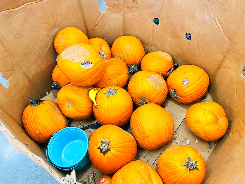 ウォールマートのかぼちゃ